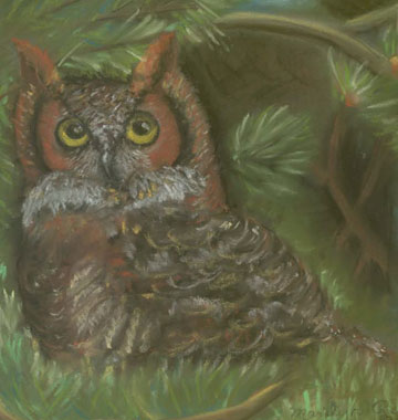 owl-pastel